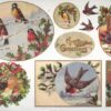 Stamperia Rice Paper 33x49cm  - Christmas Greeting Birds DFS229