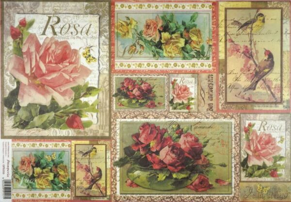 Stamperia Rice Paper 33x49cm - Roses DFS259