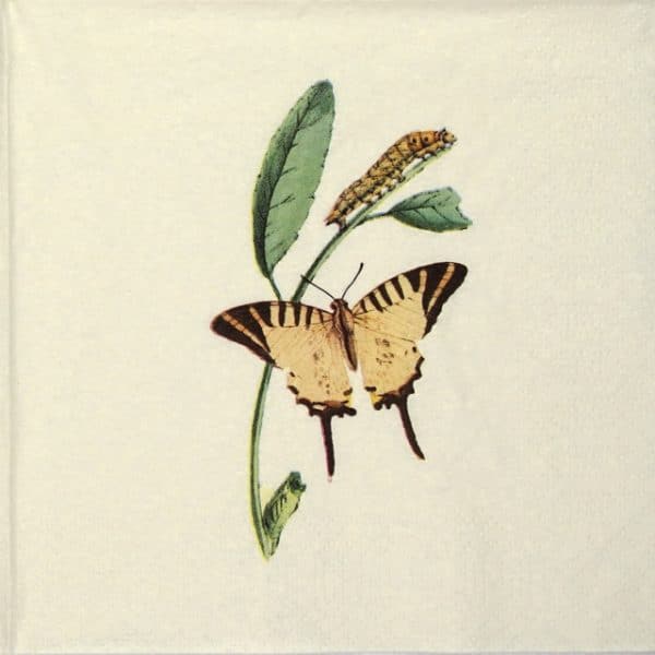 Paper Napkin - Nature Butterfly