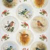 Rice Paper - Bird Collection