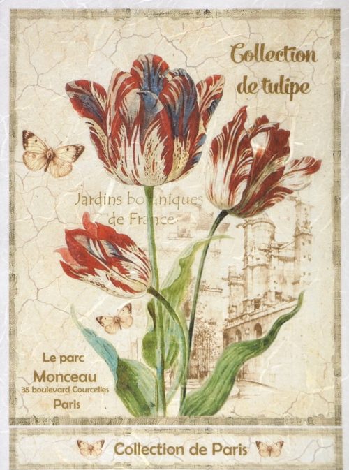 Rice Paper - Collection de Tulipe Large