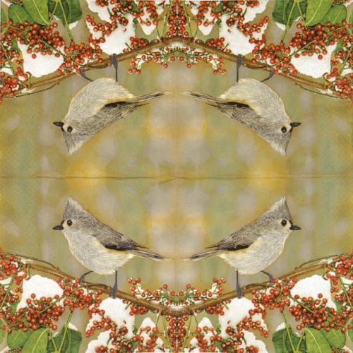 Maki_Tufted-titmouse_SLGW018001