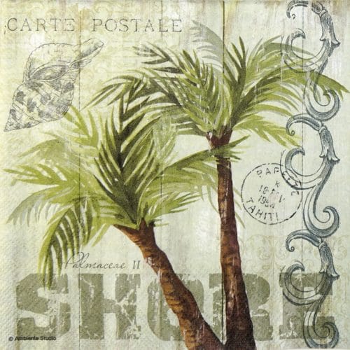 Lunch Napkins (20) - Palm Trees