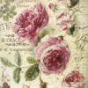 Stamperia Rice Paper A4 - Botanic English Roses - DFSA4358