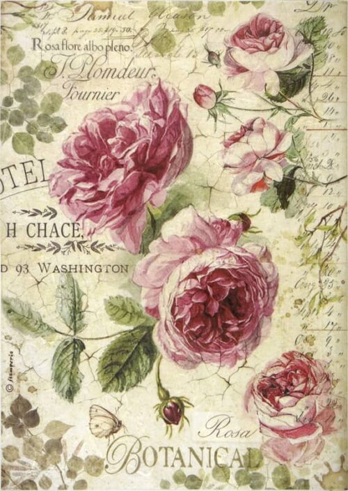 Stamperia Rice Paper A4 - Botanic English Roses - DFSA4358