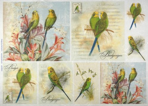 Rice Paper - Green Parrots 32x45cm