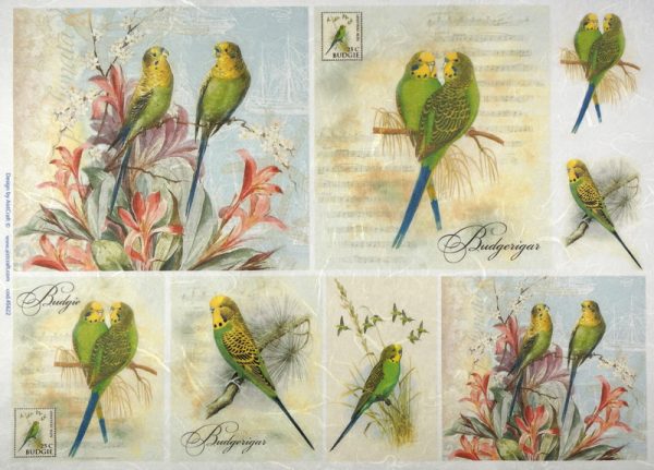 Rice Paper - Green Parrots