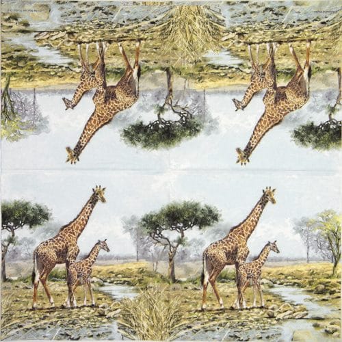 Ambiente_giraffes_13314070