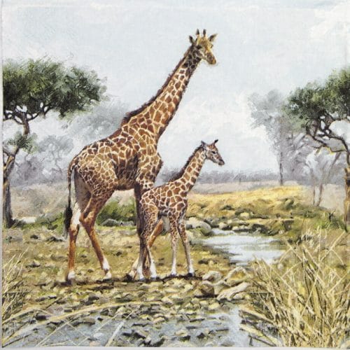 Lunch Napkins (20) - Giraffes