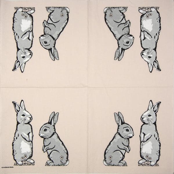 Lunch Napkins (20) - Two rabbits coral