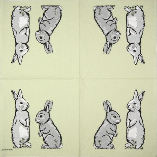 Ambiente_two-rabbits-green_23314366