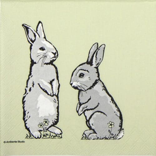 Lunch Napkins (20) - Two rabbits green