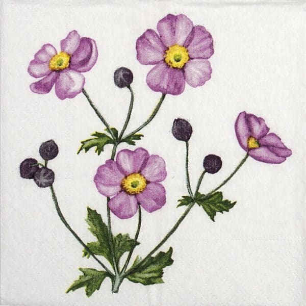 Cocktail Napkin - Anemone