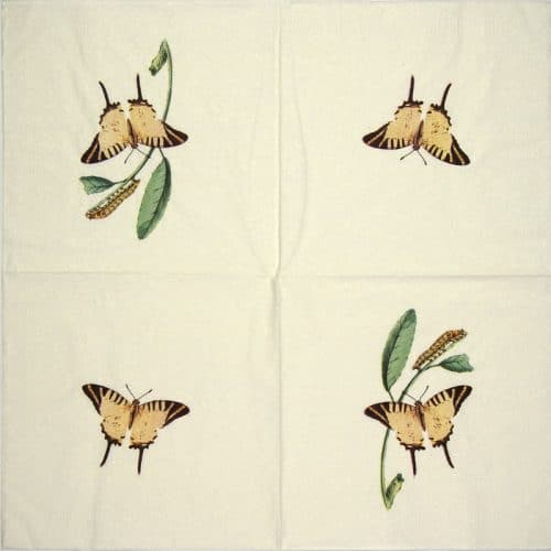 a napkin with butterflies on it