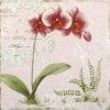 Paper Napkin - Orchid Light Rose