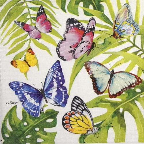Cocktail Napkin - Carola Pabst: Tropical Butterflies