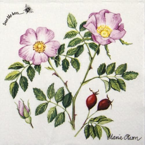 Lunch Napkins (20) - Dog rose