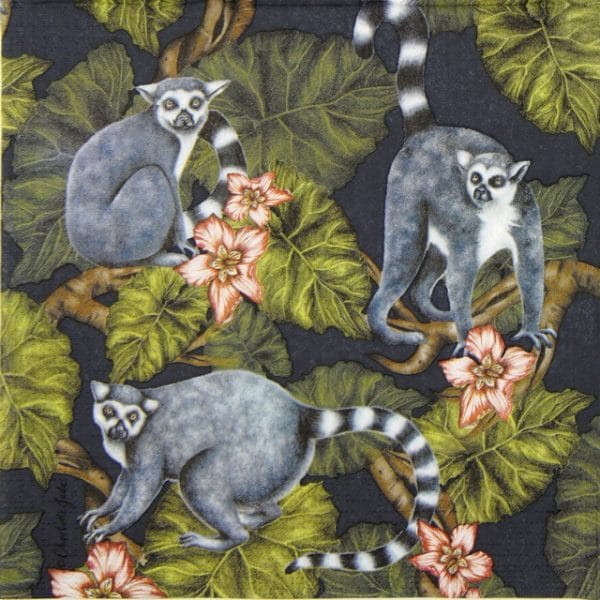 Lunch Napkins (20) - Charlotte Jade: Midnight Madagaskar