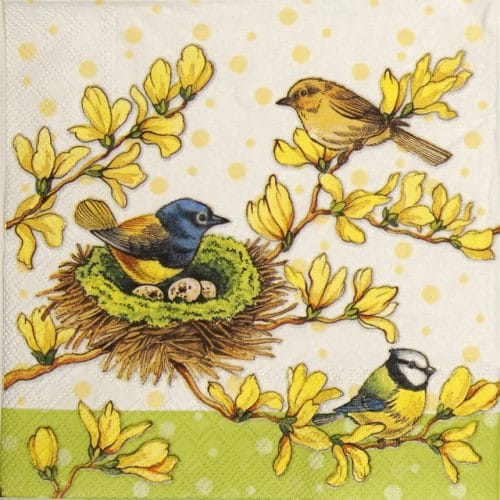 Lunch Napkins (20) - Birds on Forsythia