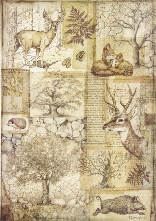 Rice Paper - Forest Deer and wild boar - DFSA4426_Stamperia