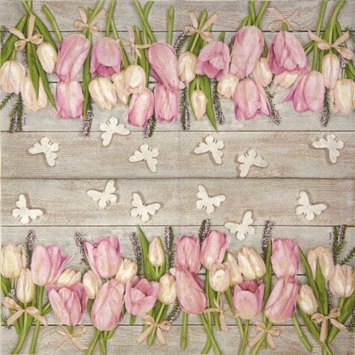 Daisy_white-and-pink-tulips-on-wood_SDWI004401