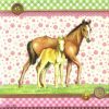 Paper Napkin - Signed Horses