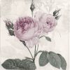 Paper Napkin - Purple Rose