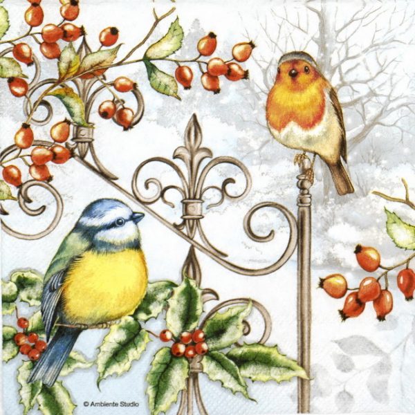 Lunch Napkins (20) - Birds and Holly