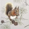 Cocktail Napkins (20) - Squirrel in Winter