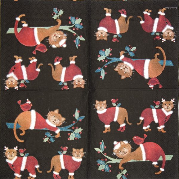 Lunch Napkins (20) - Dressed Cats Black