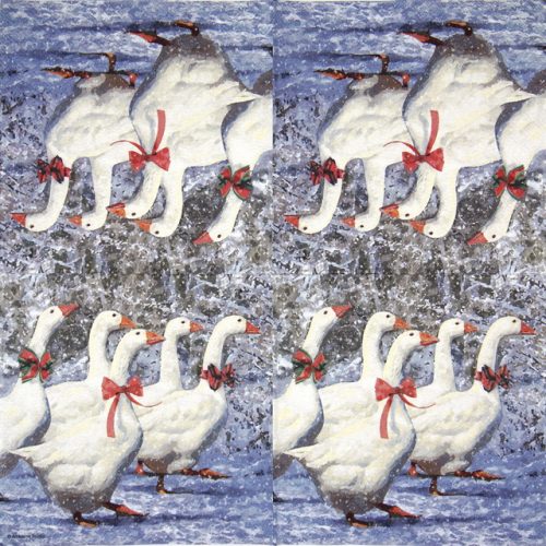 Ambiente_X-mas-geese_33314545