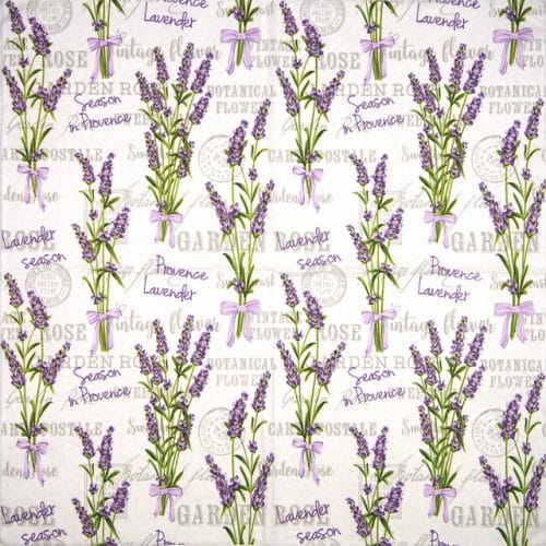 Daisy_Lavender-Season-in-Provence_SDOG025801