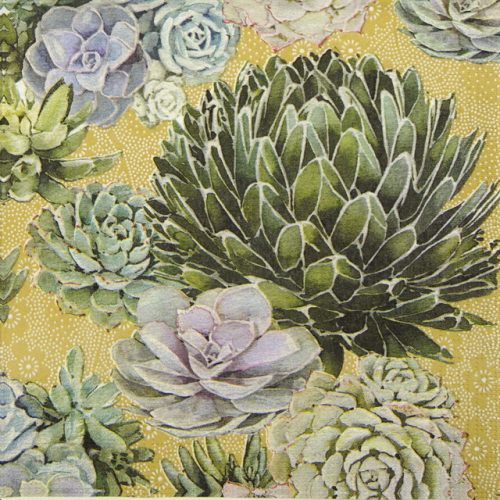 Paper Napkin - Nigel Quiney: Succulents