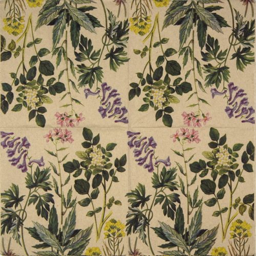 Paper-design_Botanical-pattern_192789Q