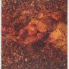 Rice Paper - Rusty Pressed Ammonite
