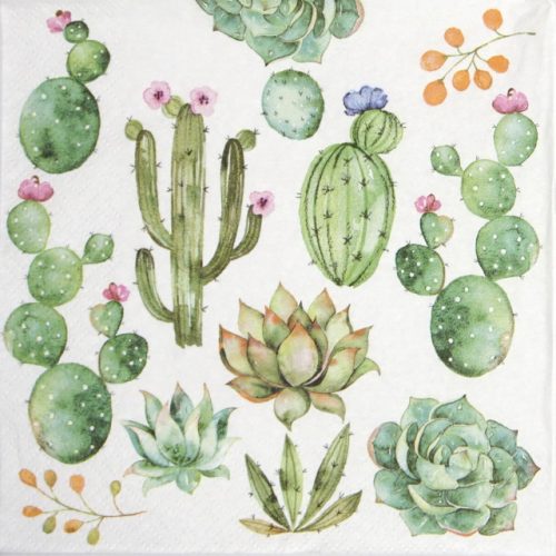 Lunch Napkins (20) - Cactus & Succulents