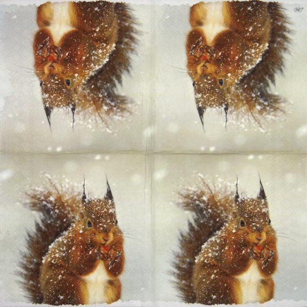 Paper Napkin -  Winter Squirrel