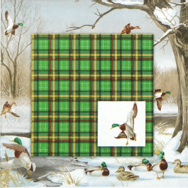 Paper Napkin - Duck Pond