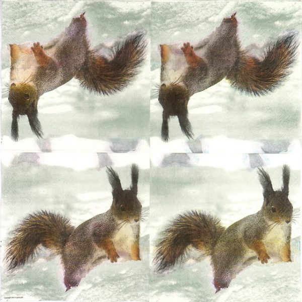 Lunch Napkins (20) - Squirrel