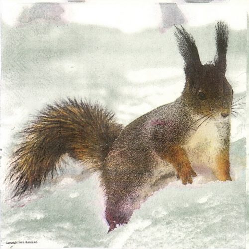 Lunch Napkins (20) - Squirrel