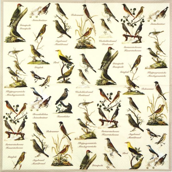 Lunch Napkins (20) - Garden Birds