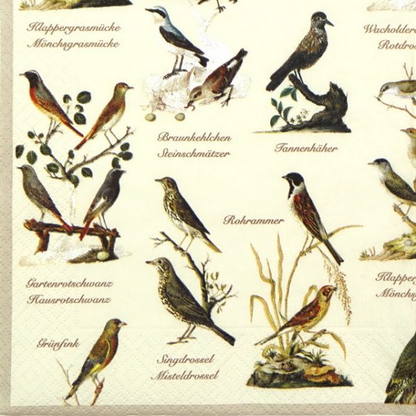 Lunch Napkins (20) - Garden Birds