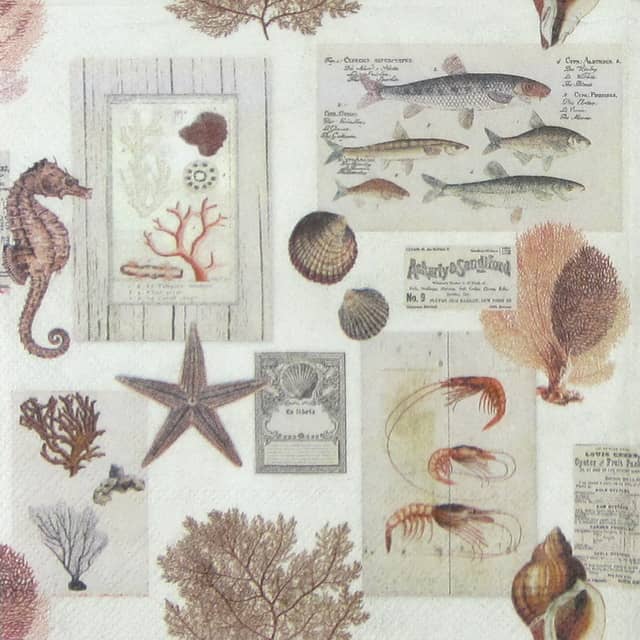 Paper Napkin - Sepia Sea Cream