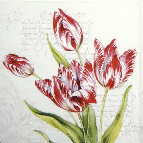 Lunch Napkins (20) - Classic Tulips