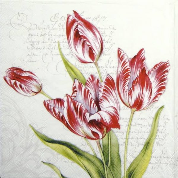 Paper Napkin - Classic Tulips