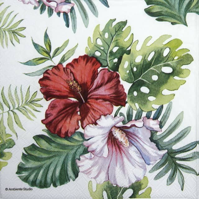 Paper Napkin - Hibiscus Floral White