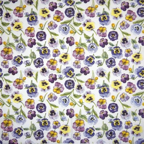 Ambiente_Pansy-all-over_13314955