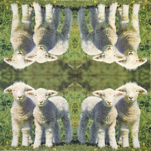 Paper Napkin - Two Lambs