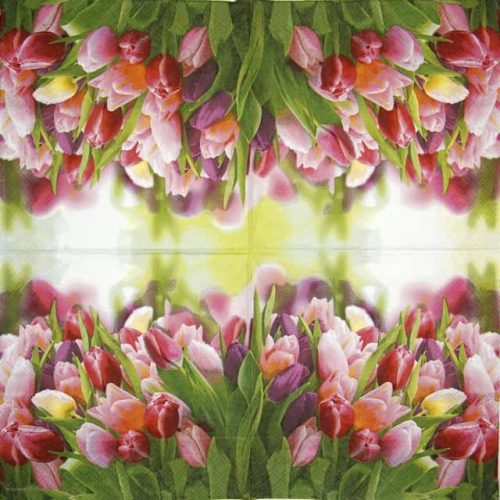 Ambiente_glorious-tulips_13312730
