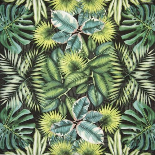 Ambiente_tropical-leaves-black_13310941